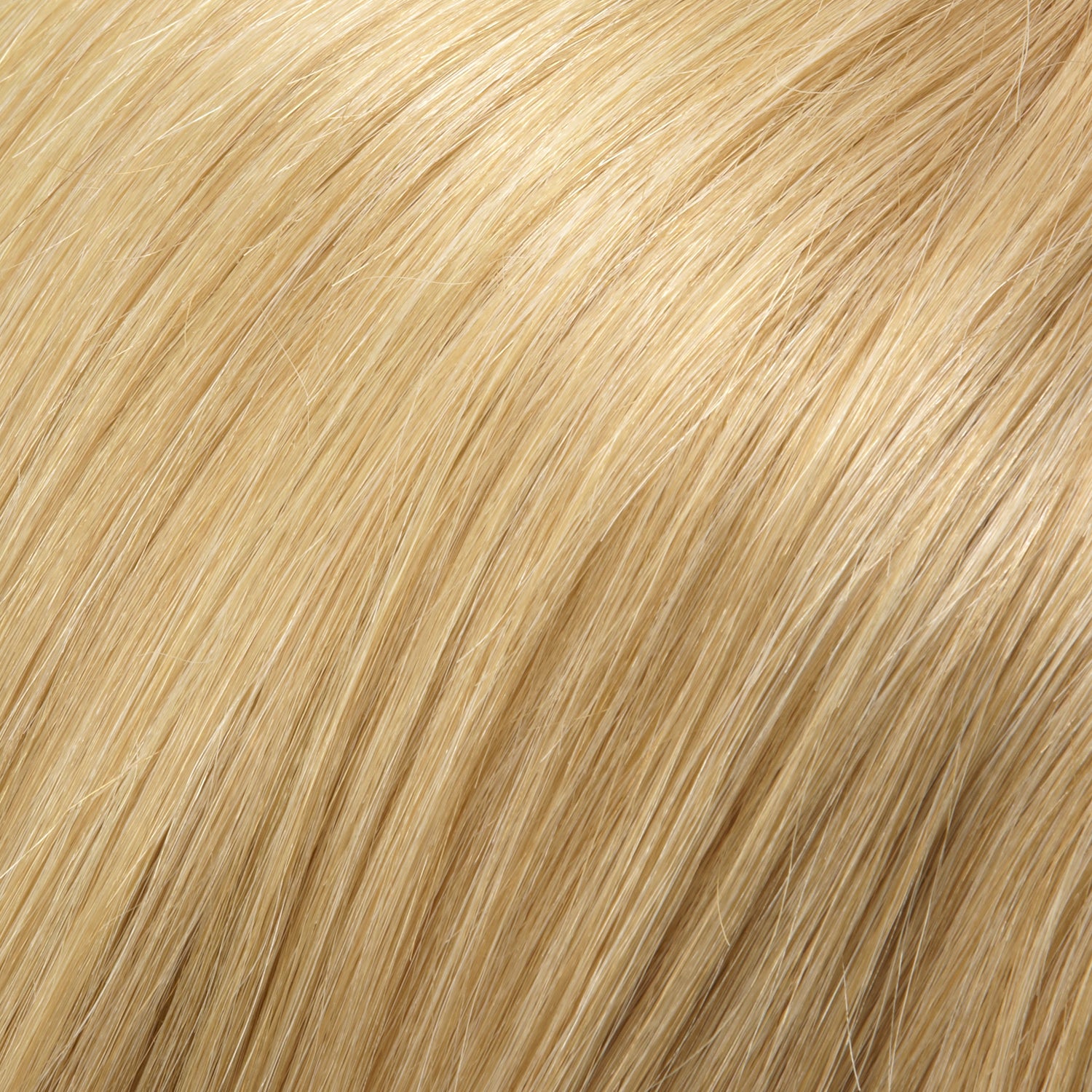 Gwyneth | Jon Renau Wig | lace front monofilament hand tied | Human Hair