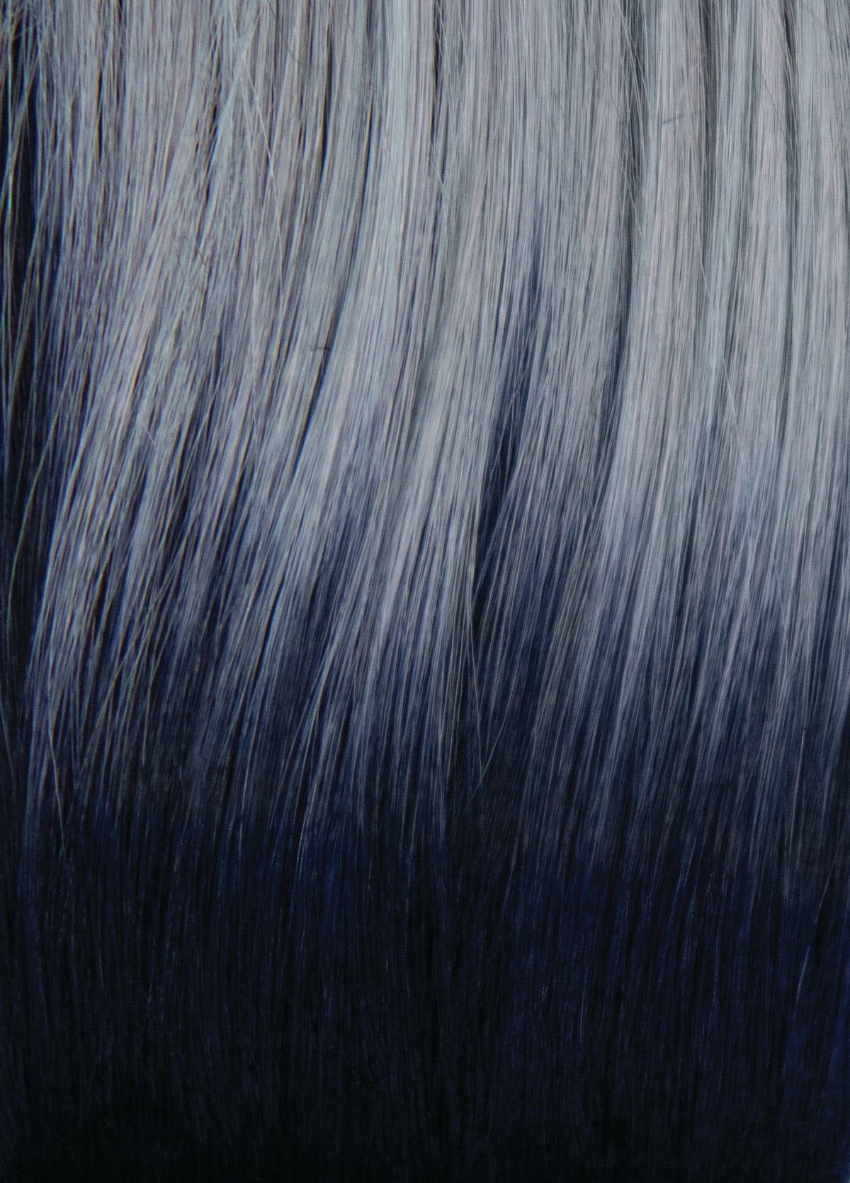 Breezy Wavez|Rene of Paris | Machine Made | Avg | Color Choice | High Heat Wig