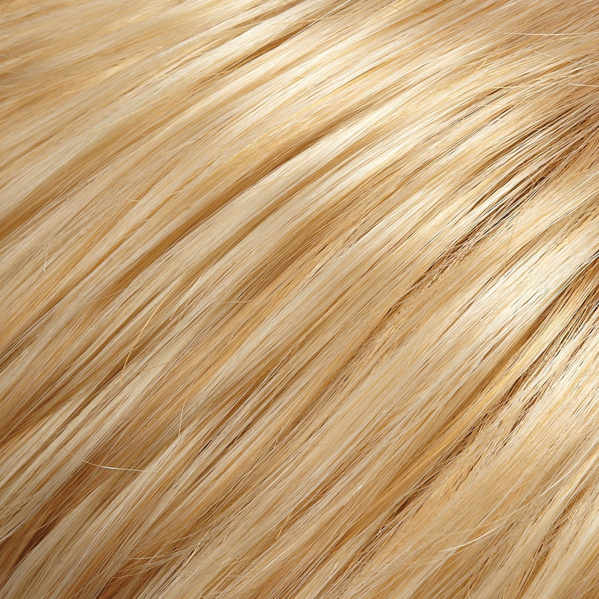 Zara Wig by Jon Renau - Lace Front Mono Long Synthetic