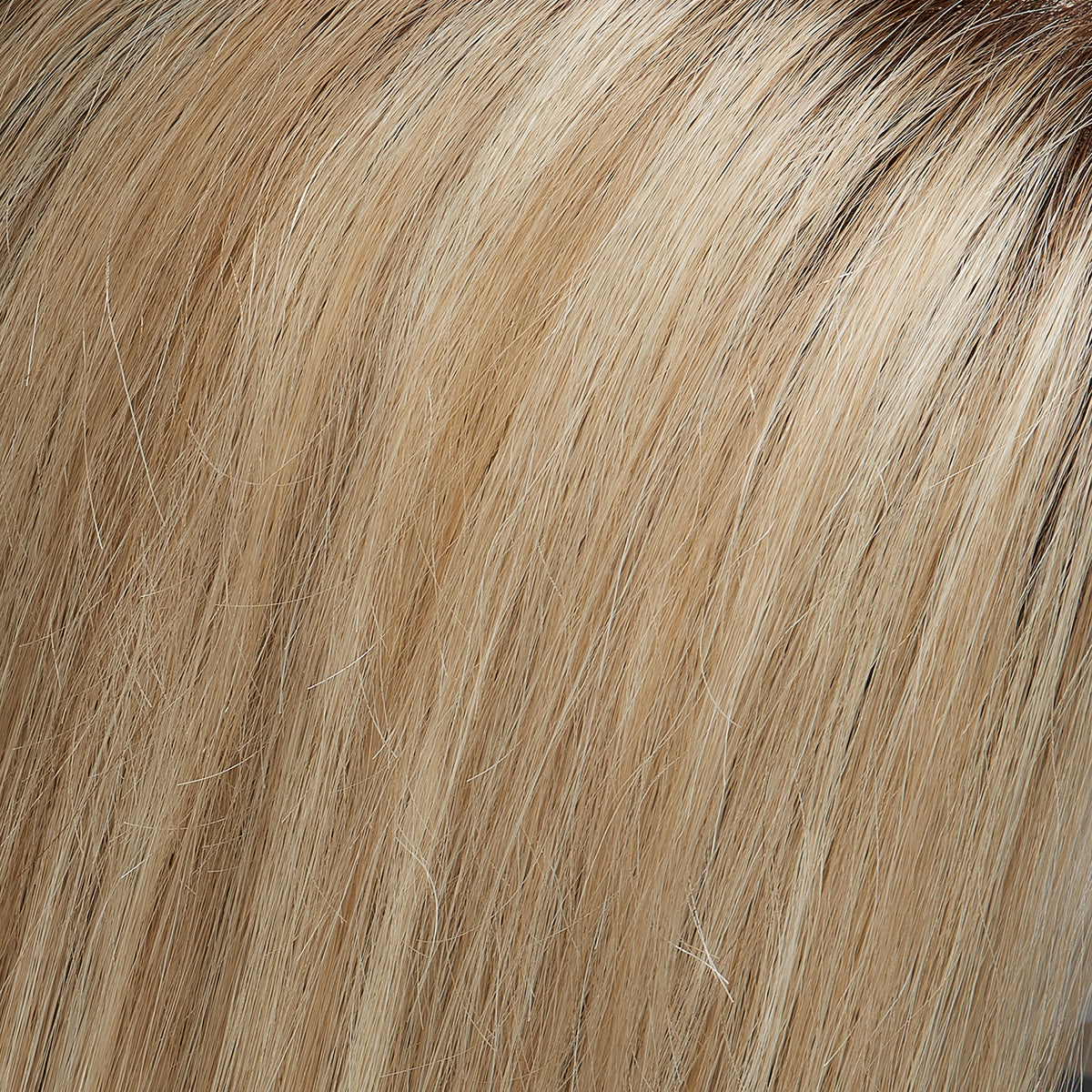 Layla Wig by Jon Renau - Swiss Lace French Drawn Remy Human Hair