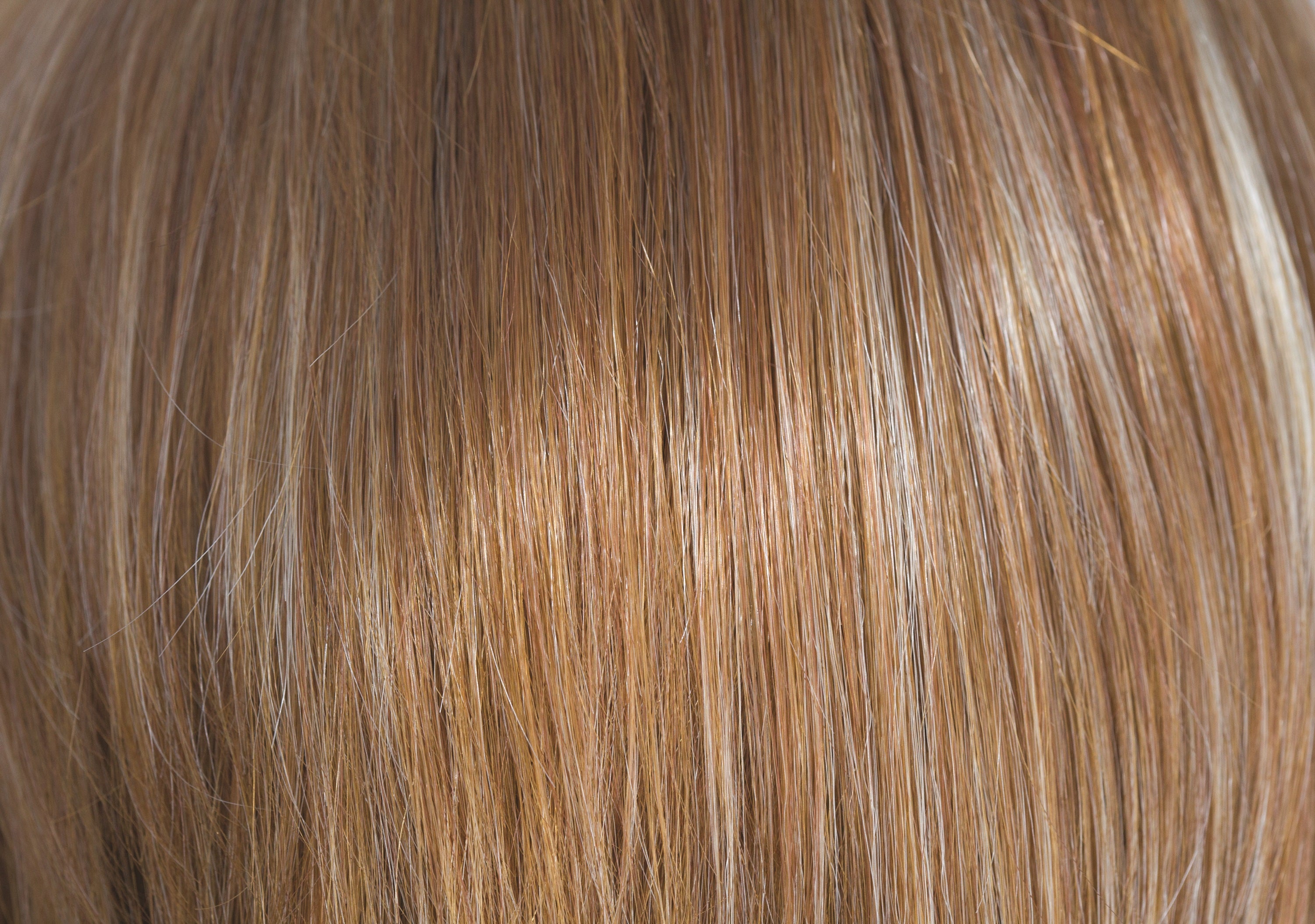 Bailey | Rene of Paris wigs