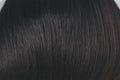 Kirby | Orchid Collection | Rene of Paris | Lace Front | Average | Color Choice | High Heat Wig