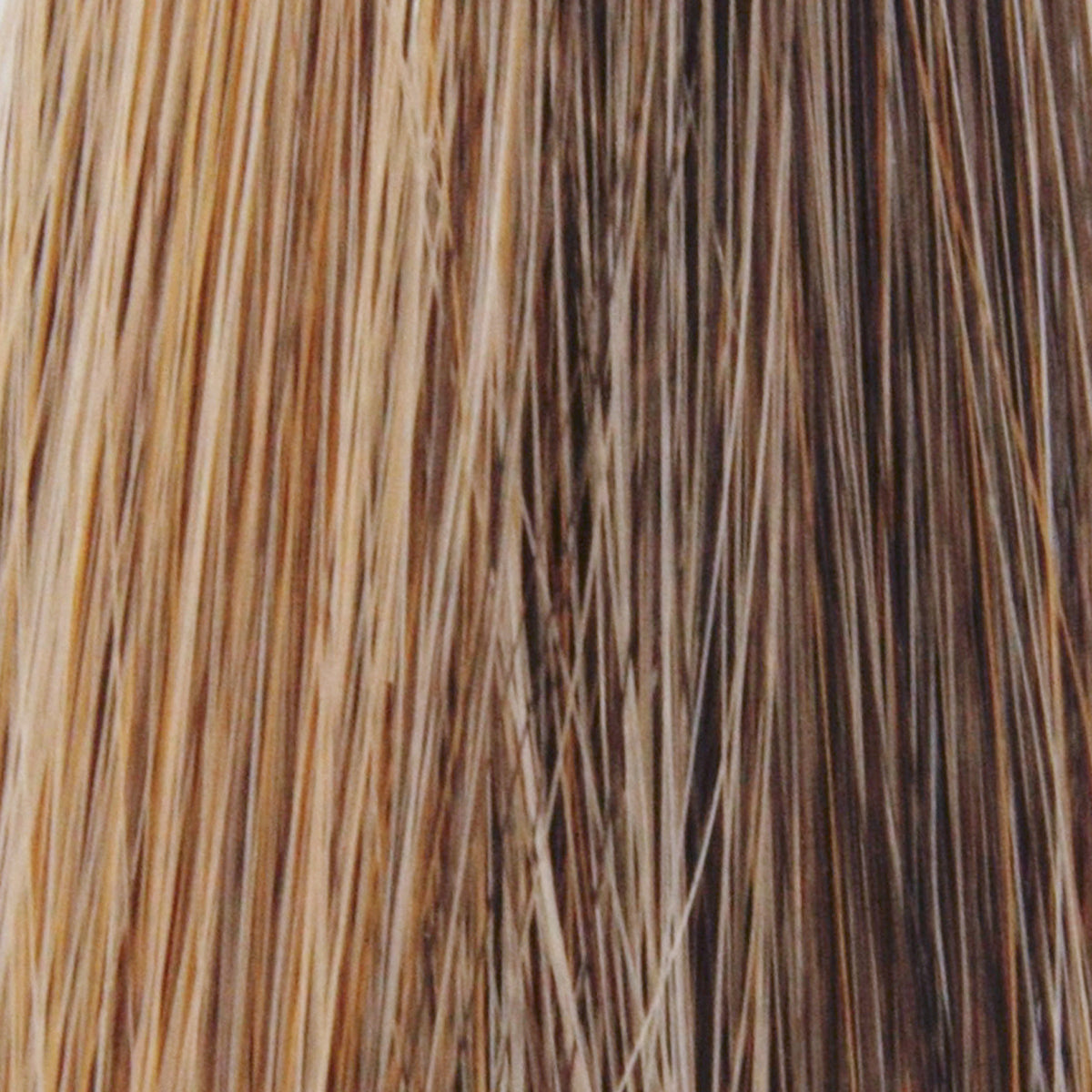 Blaze | Tressallure Wigs | Monotop Lace Front