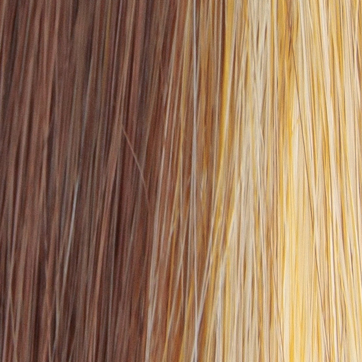 Blaze | Tressallure Wigs | Monotop Lace Front