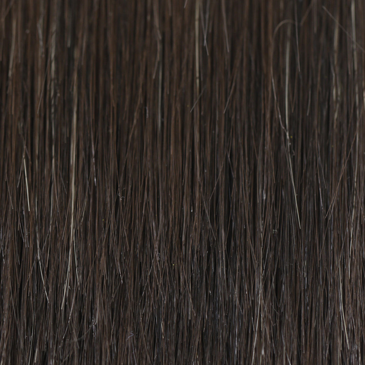Casual Curls | TressAllure Wigs | Lace Front