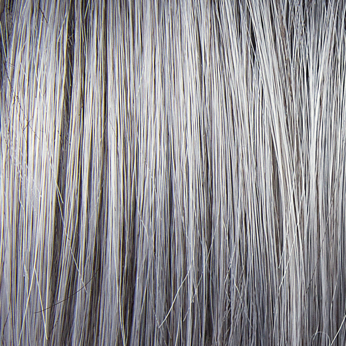 Charlotte Wig by TressAllure - Basic Cap