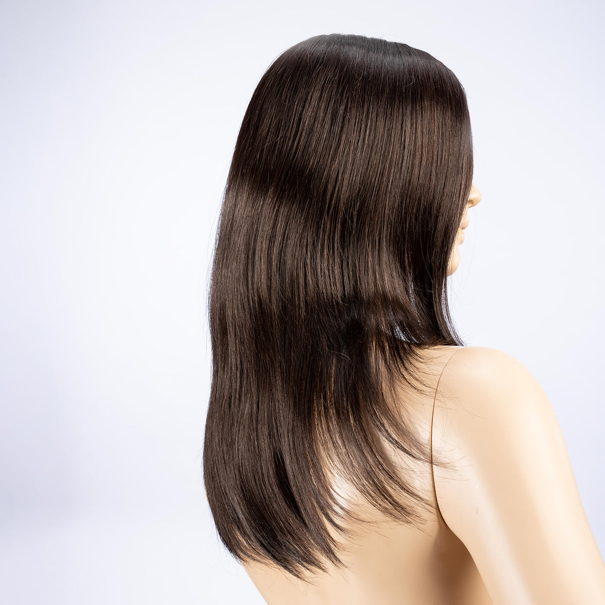Image Deluxe Wig by Ellen Wille - Lace Front Mono Top Human Hair Blend