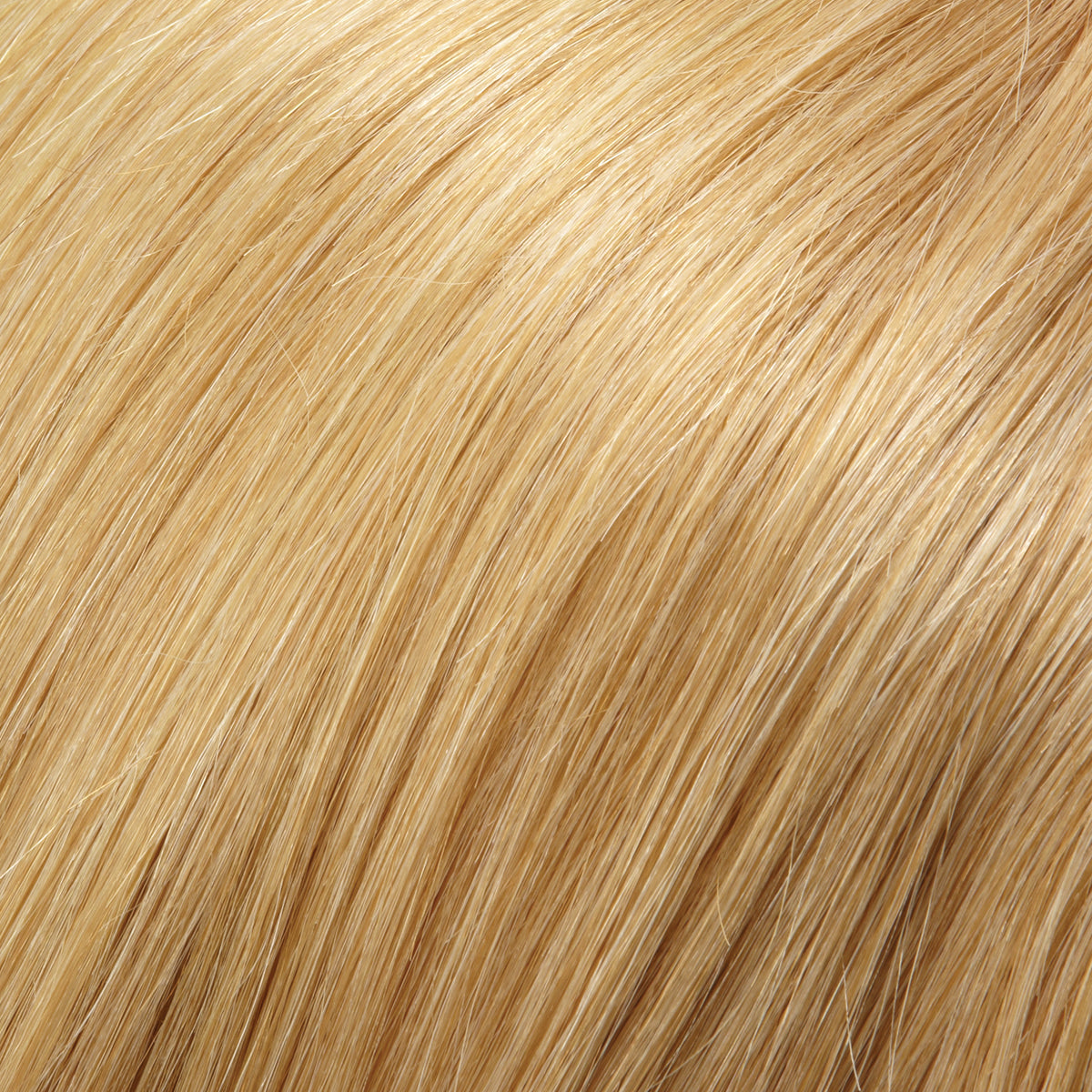 Blake Petite Wig by Jon Renau - Lace Front Mono Remy Human Hair