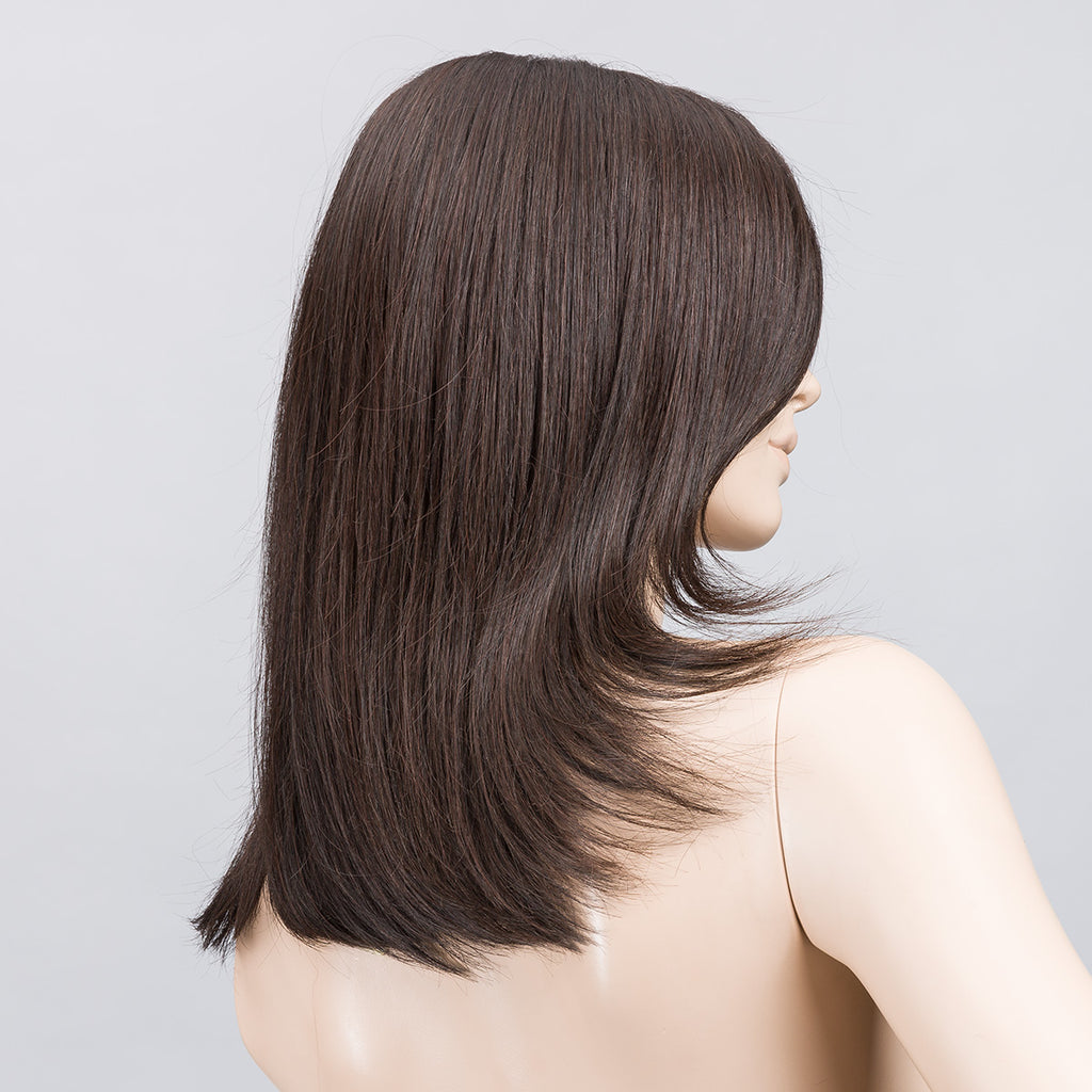 Affair DELUXE | Ellen Wille Wigs | Hair Society |Lace Front | Monofilament | Partially Hand Tied