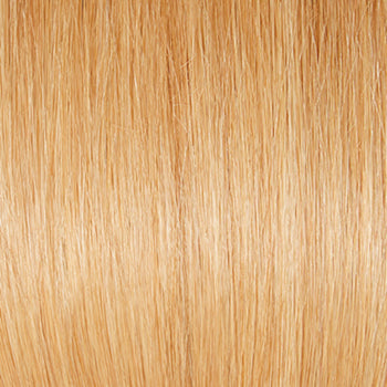 Applause | Raquel Welch | Lace Front | Mono Top | Human Hair