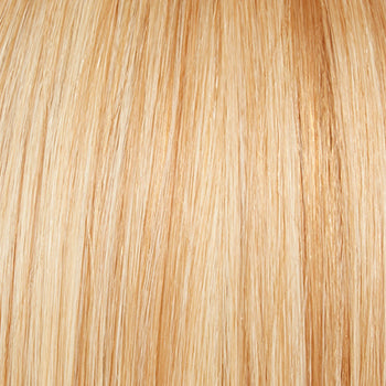 Applause | Raquel Welch | Lace Front | Mono Top | Human Hair
