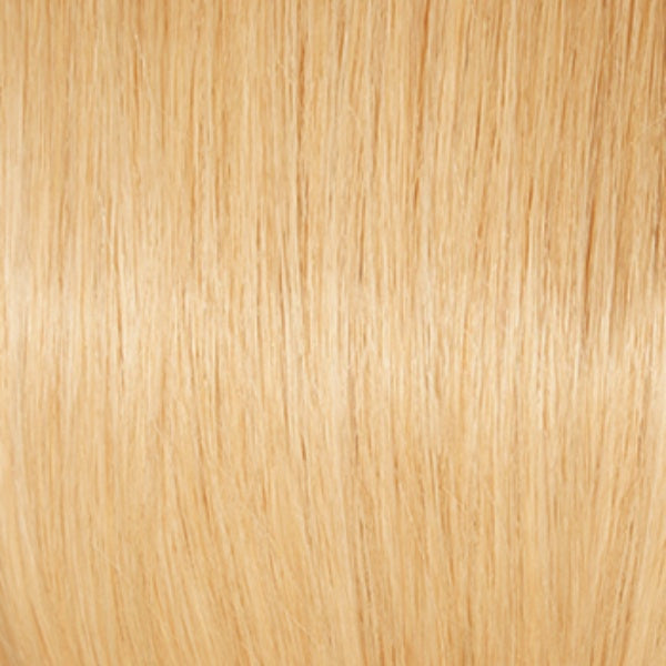 Bravo | Raquel Welch | Lace Front | Mono Top | Human Hair