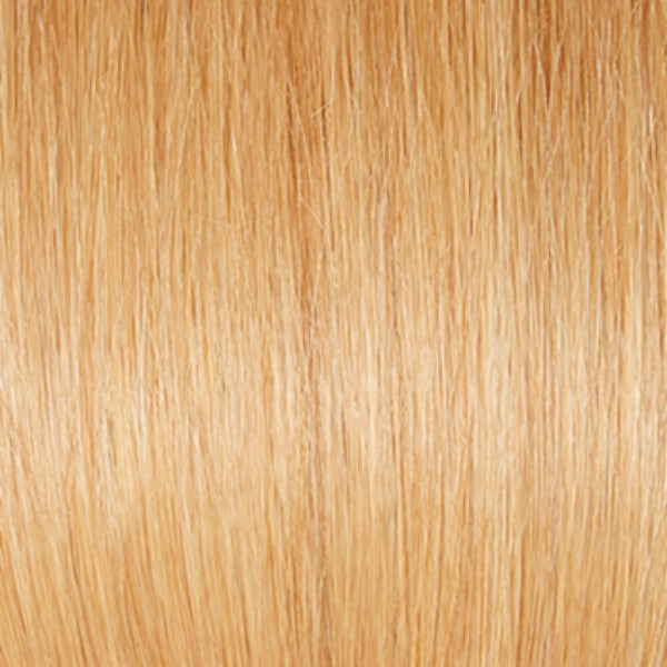 Grand Entrance  | Raquel Welch Wigs