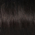 Princessa | Raquel Welch Wigs