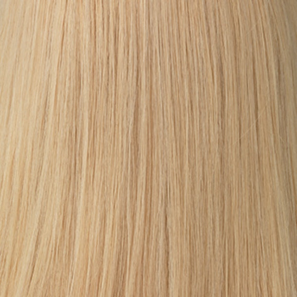 Princessa | Raquel Welch | Lace Front | Mono Top | Human Hair