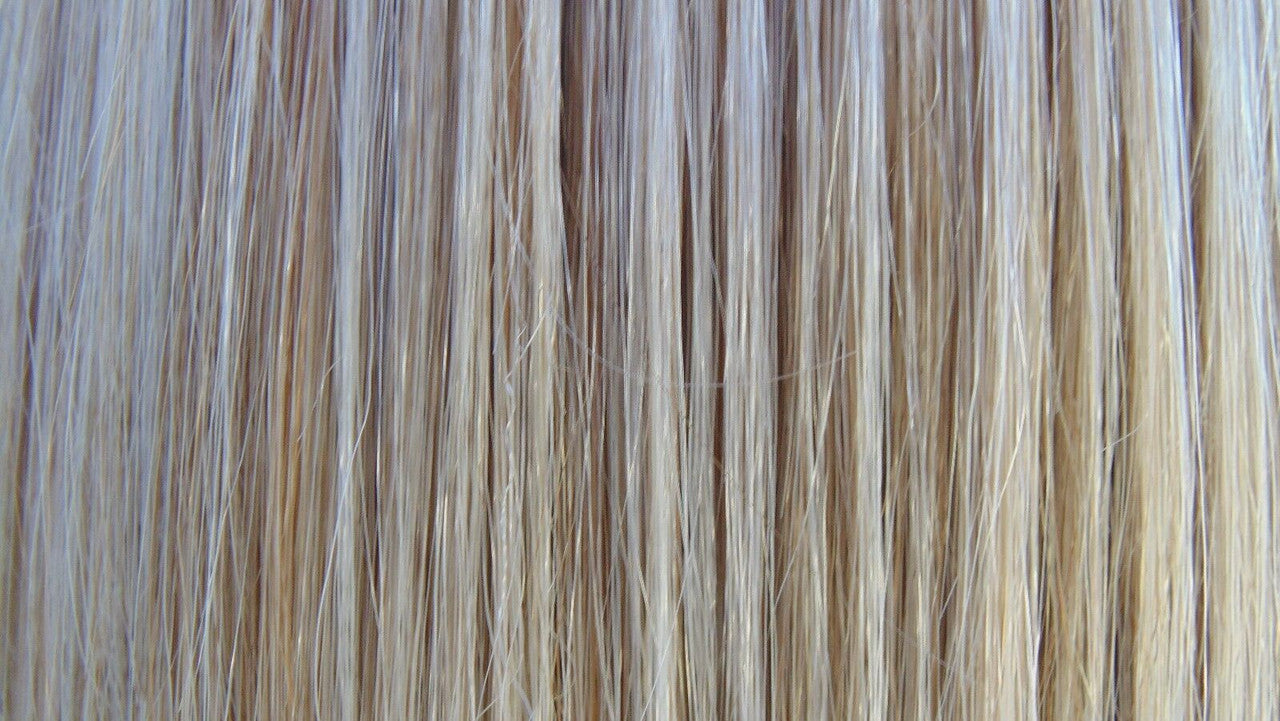 SCENE STEALER Synthetic Wigs | COLOR SHADED BISCUIT ROOTED BLOND -18