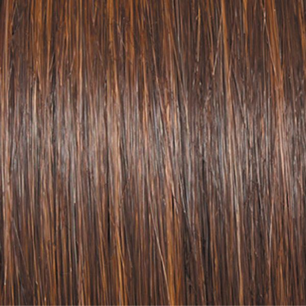 Curve Appeal | Raquel Welch | Lace Front | Mono Part | Heat-Friendly Synthetic
