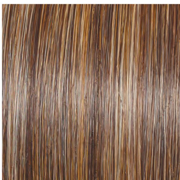 Curve Appeal | Raquel Welch | Lace Front | Mono Part | Heat-Friendly Synthetic