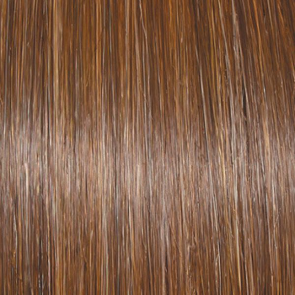 Curve Appeal | Raquel Welch | Lace Front | Mono Part | Heat-Friendly Synthetic