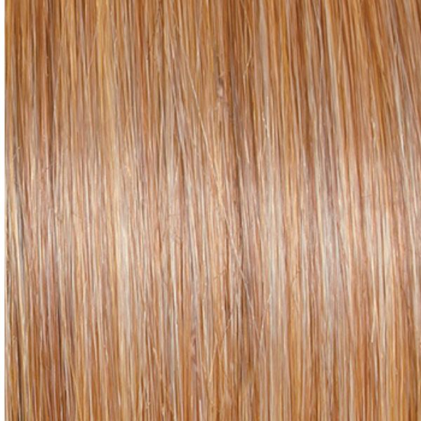 Curve Appeal | Raquel Welch | Lace Front | Mono Part | Heat-Friendly Synthetic