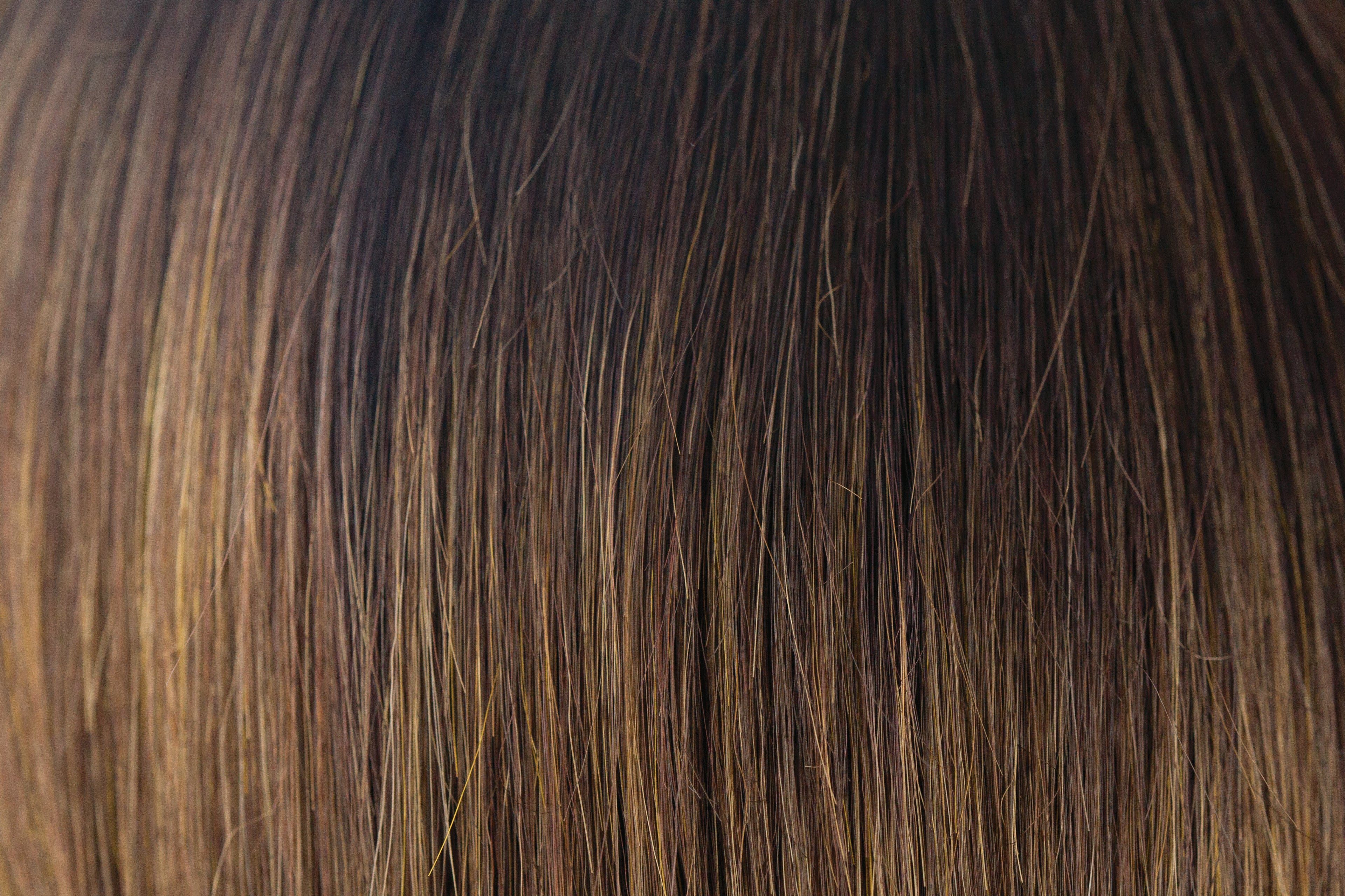 Tate | Amore Wigs | Lace Front Monotop | TBD