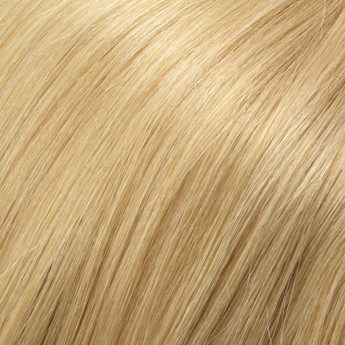 Blake Large Wig by Jon Renau - Lace Front Mono Remy Human Hair