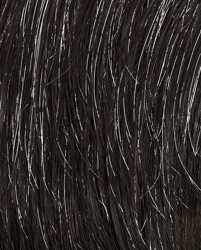 Brad  | Ellen Wille Wigs | HairforMANce