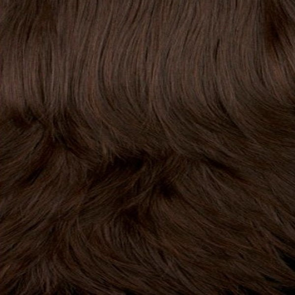Romance | Mane Attraction | Synthetic Wig | Lace Front Monotop