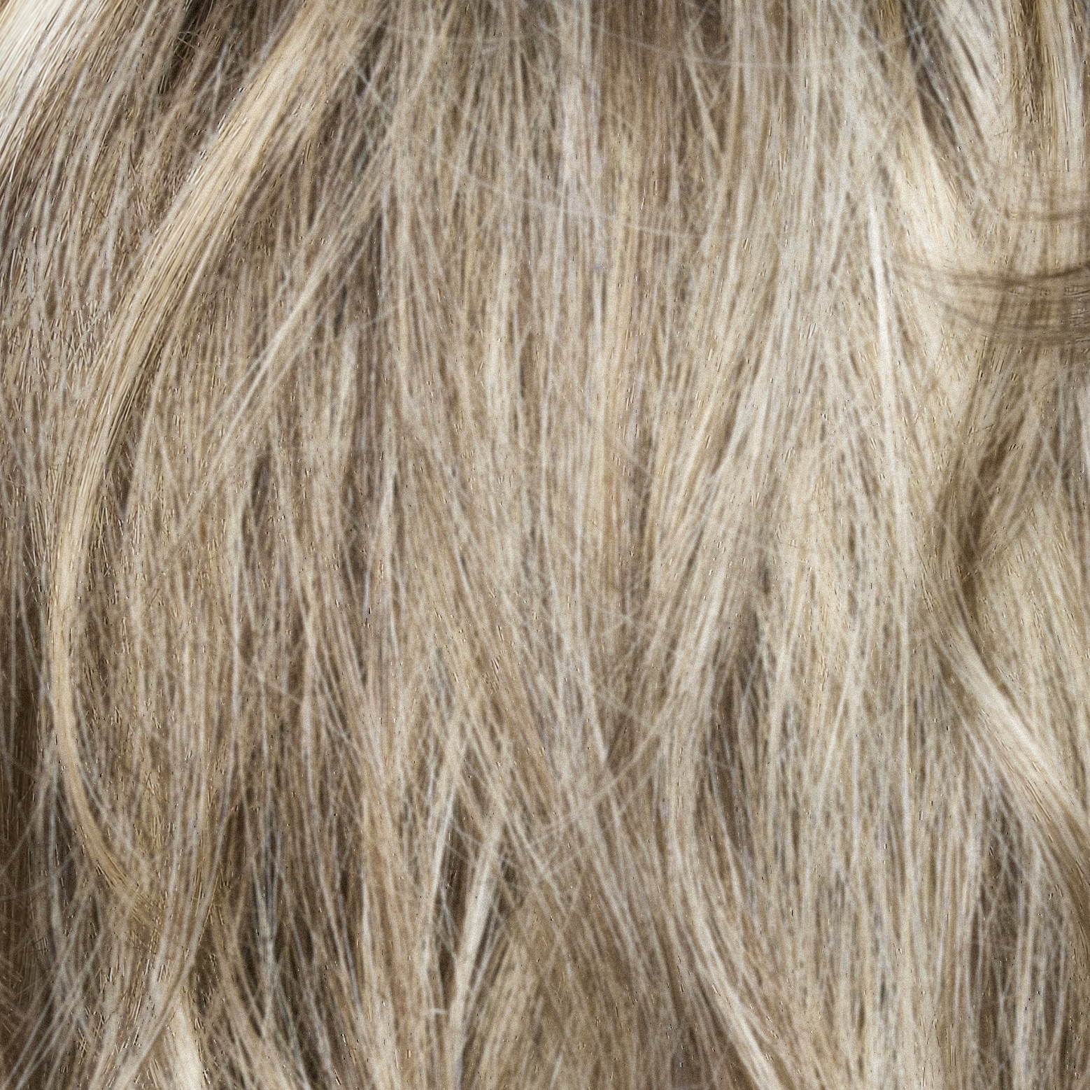 Briar  Wig by Noriko | Synthetic Hair | Average Cap | Lace Front