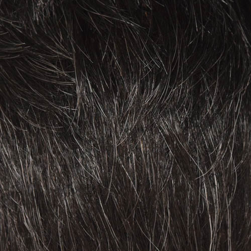 Felicity Wig Pro 508 Short Synthetic Wig Razored Layers Lightweight Cap