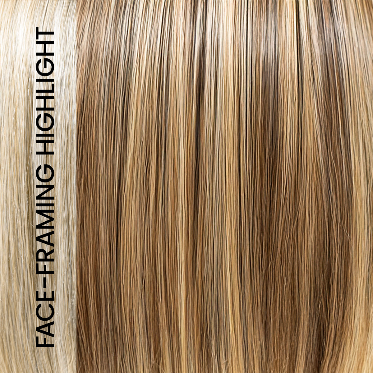 Charlotte Realistic  | Tressallure Wigs | Lace front Monotop