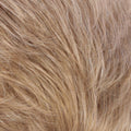 Celine Hair Dynasty | Front Lace Line  | Estetica wigs