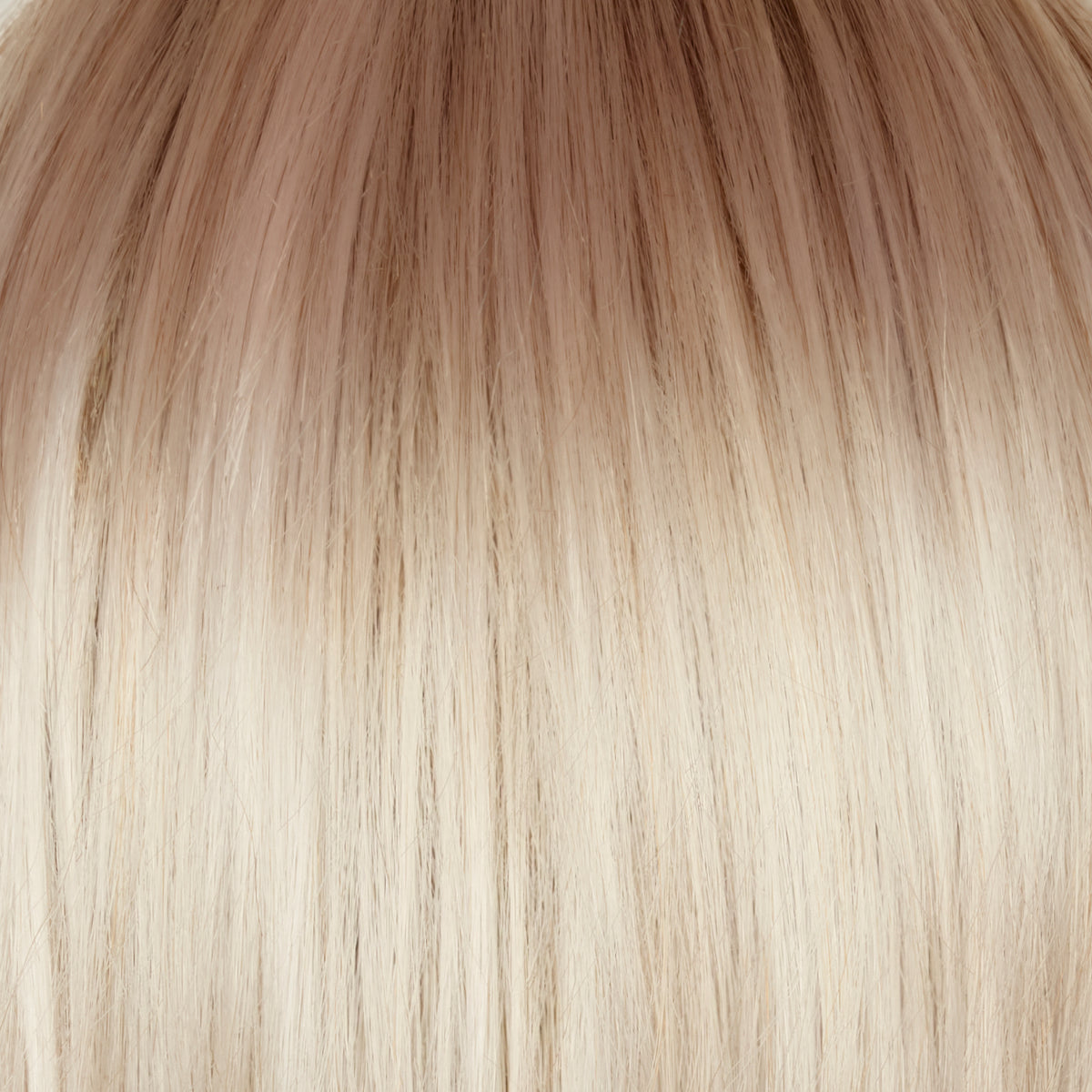 Sheena | Orchid Collection
