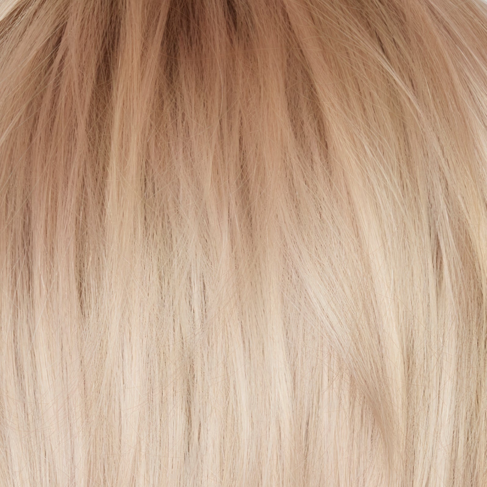 Alicia | Orchid Collection