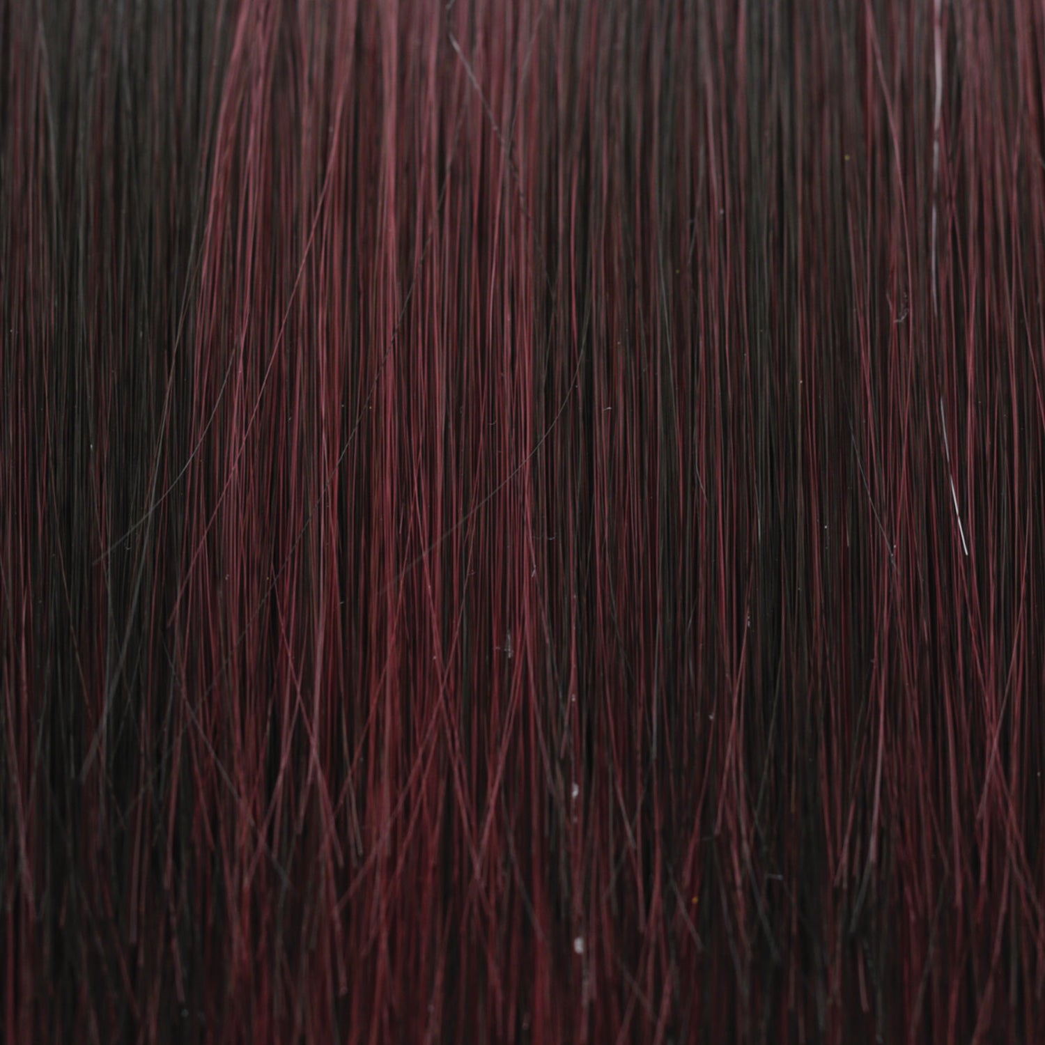 Feathered Bob | Tressallure Wigs |  Lace Front Monotop