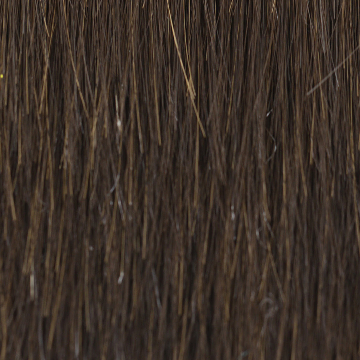 SHE'S LIKE THE WIND | Tressallure Wigs |  Lace Front Monotop