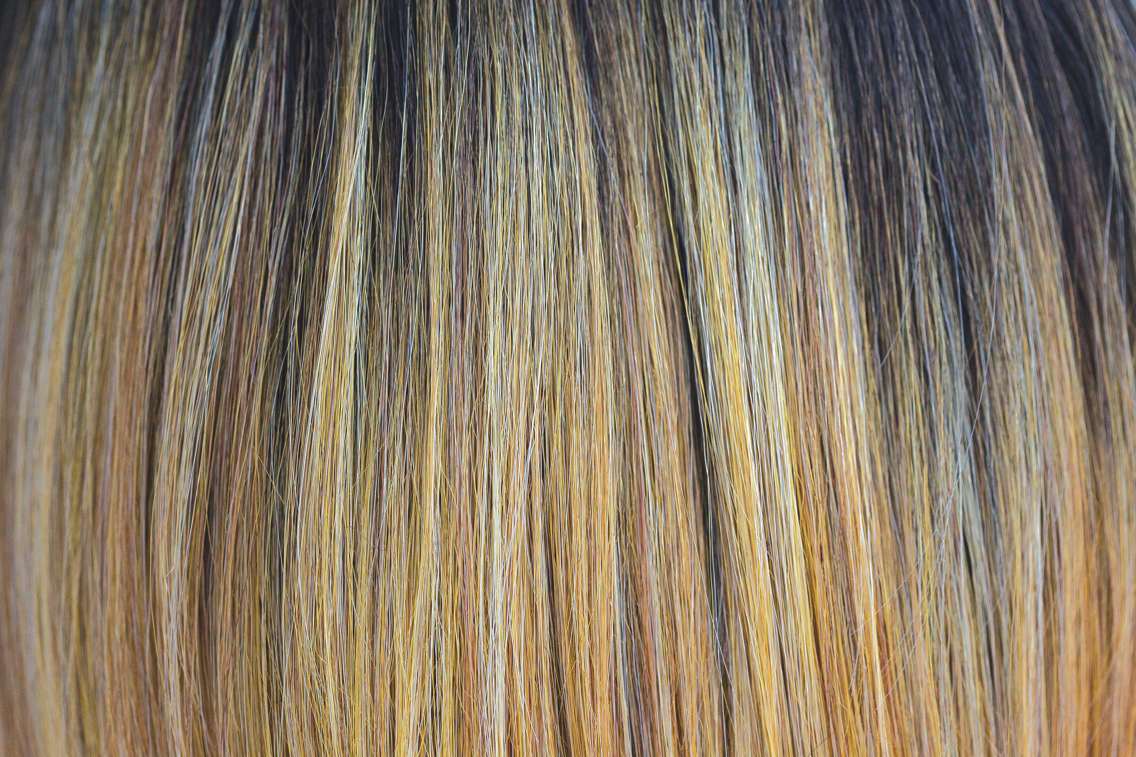 Diva | Orchid | Rene of Paris Wigs |  -TBD