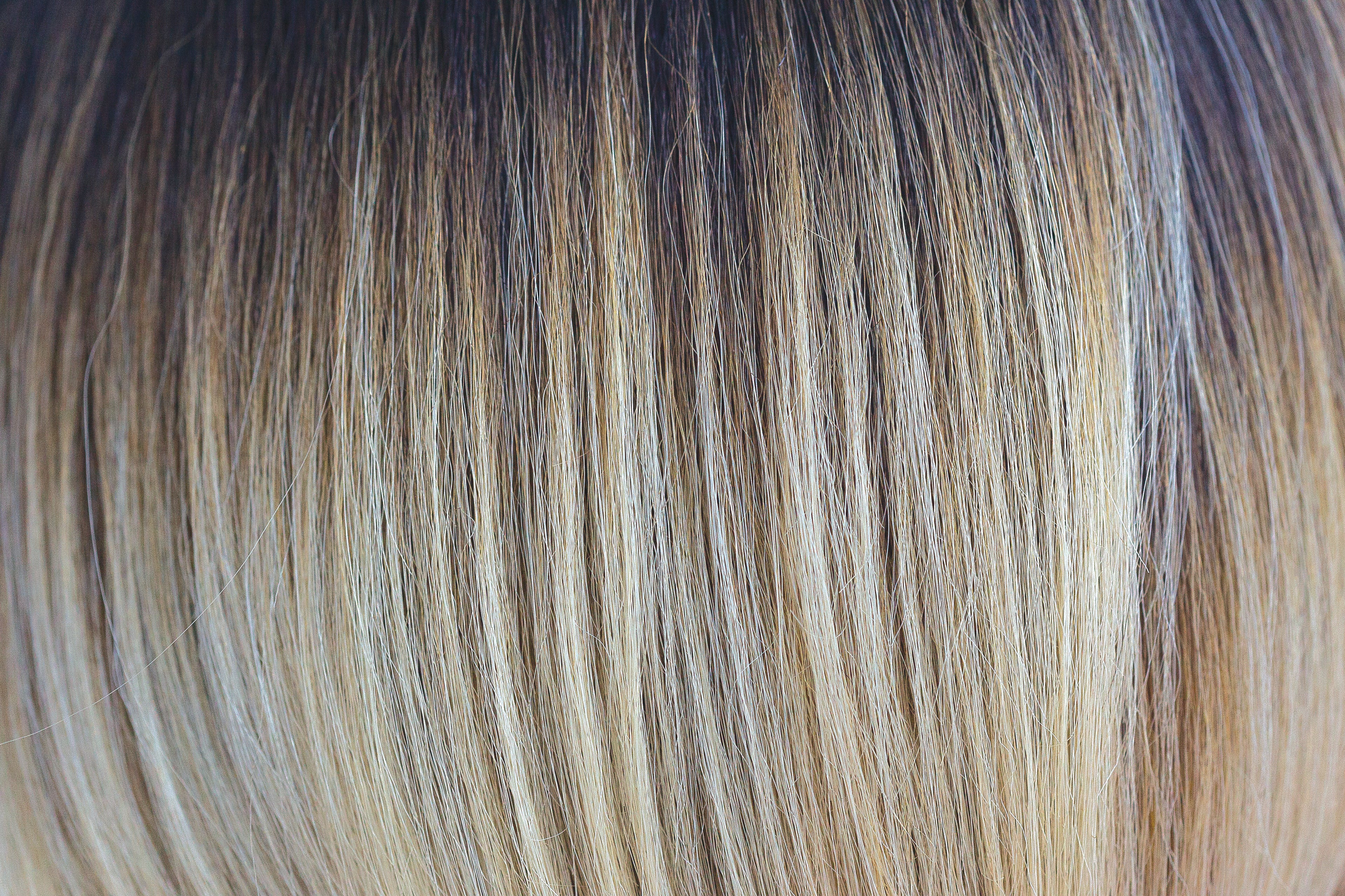 Seduction | Orchid | Rene of Paris Wigs  -TBD