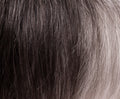 Millie by Noriko - Machine Made Short Spiky Synthetic