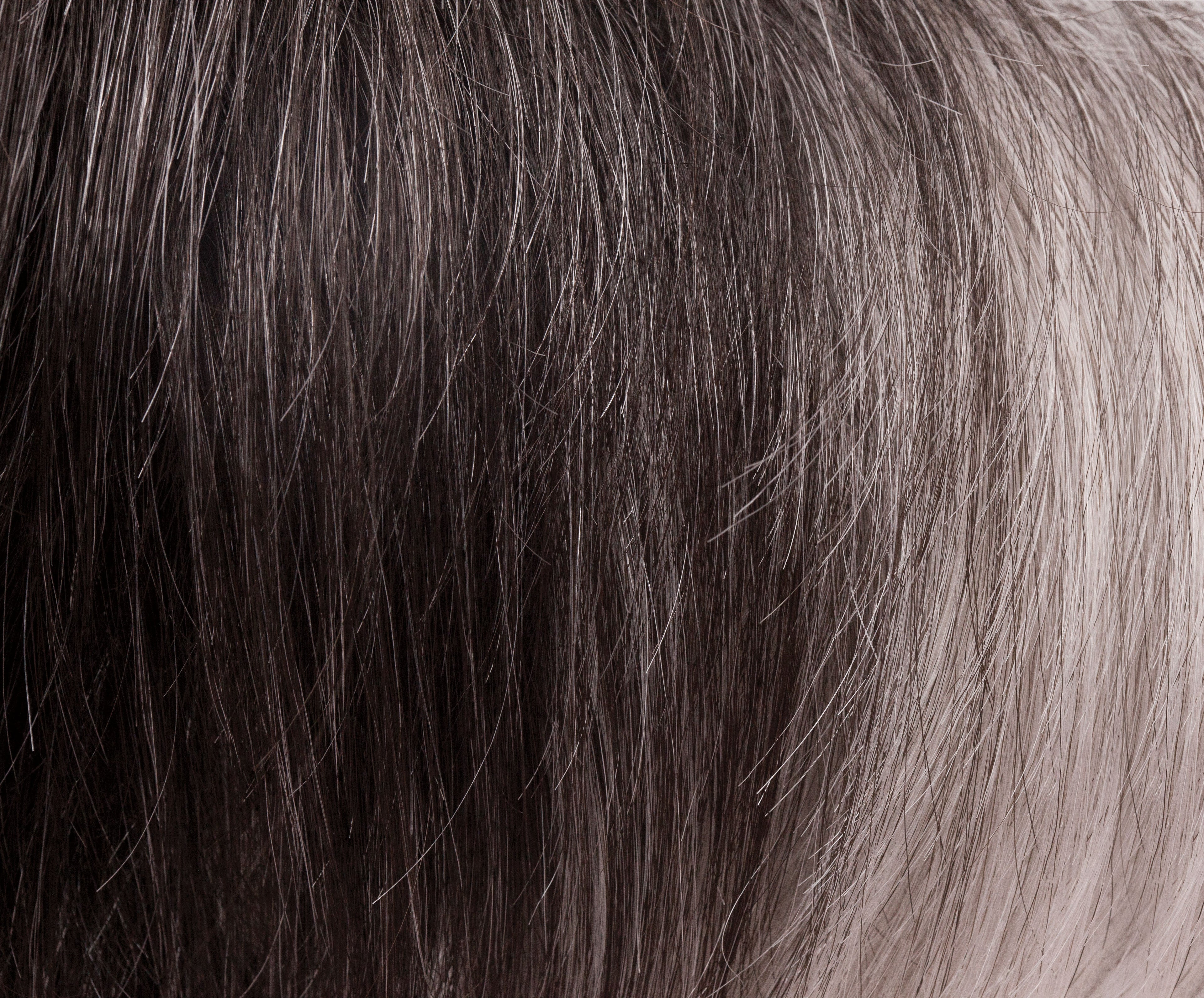 Eva | Noriko Wigs