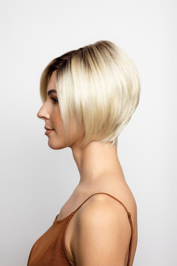 Emy Wig by Amore - Lace Front Double Mono Synthetic