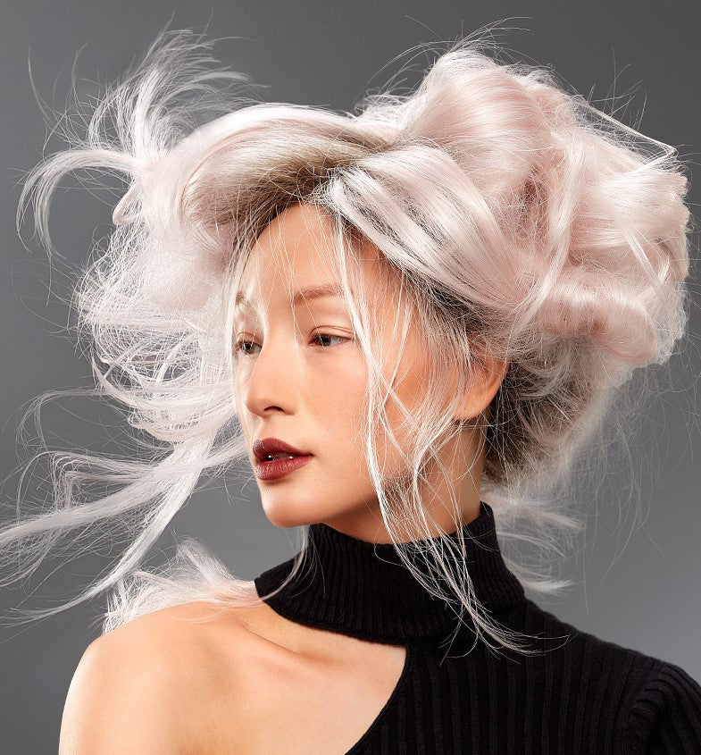 Zara Renau Wigs color Frost