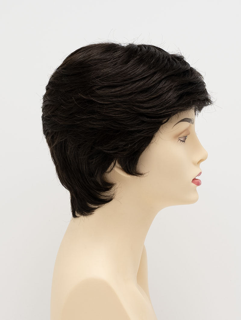 ENVY by Alan Eaton Jeannie Lace Front Mono Top Wig