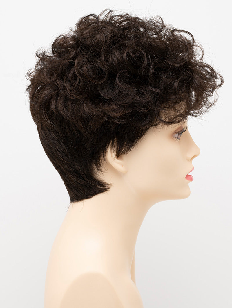 Kaitlyn by Envy in Dark Brown — supplier color photo