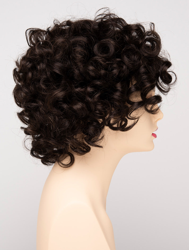 Kenya by Envy in Dark Brown — supplier color photo