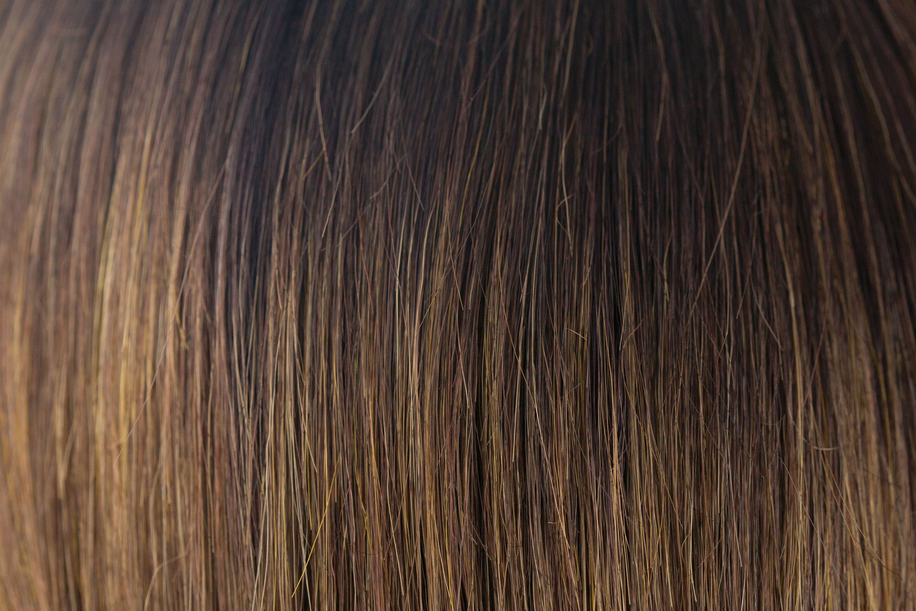 Asha René of Paris Orchid  6550 Lace Front Synthetic Wig
