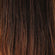 Jon Renau Amber SmartLace Synthetic Lace Front Long Wig - Colors – Limited Availability
