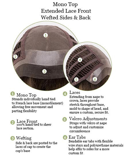 Krista | Envy Wigs | Envyhair | Lace Front Monotop Heat Safe