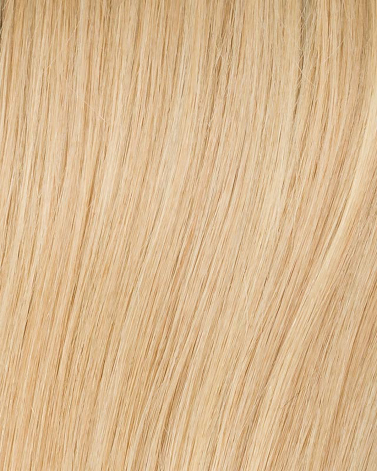 Obsession Deluxe Wig by Ellen Wille - Lace Front Mono Top Remy Human Hair