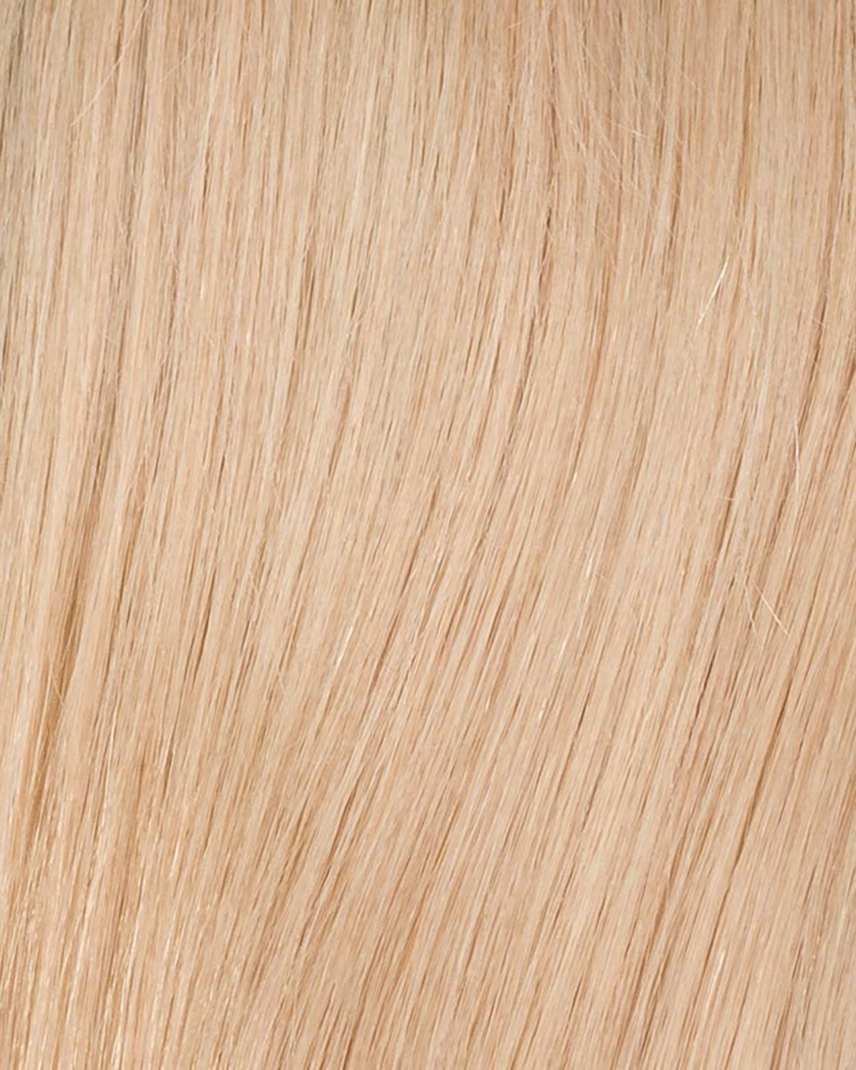 Obsession Deluxe Wig by Ellen Wille - Lace Front Mono Top Remy Human Hair